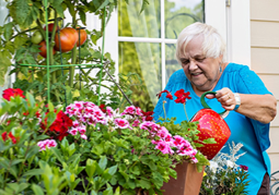 Senior Woman Watering Flowers