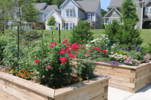 Two raised wooden garden beds filled with flowers and plants in a residential neighborhood with houses and green lawns in the background.